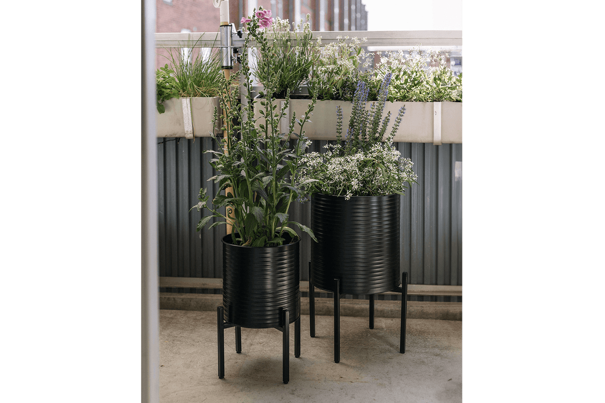 Rosa Rillo set 2 krukor