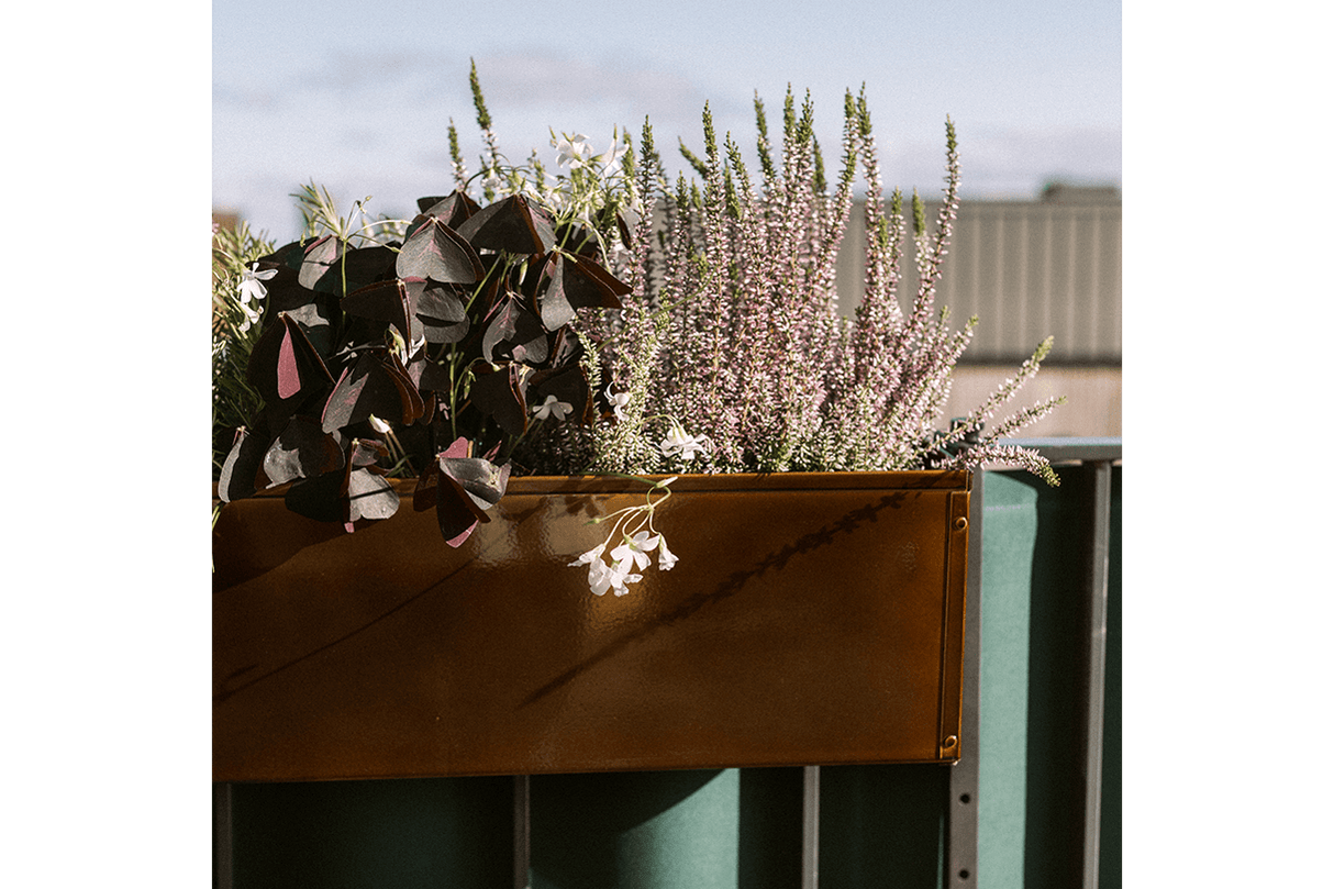 Liva balkonglåda koppar 60 / 80 / 100 cm