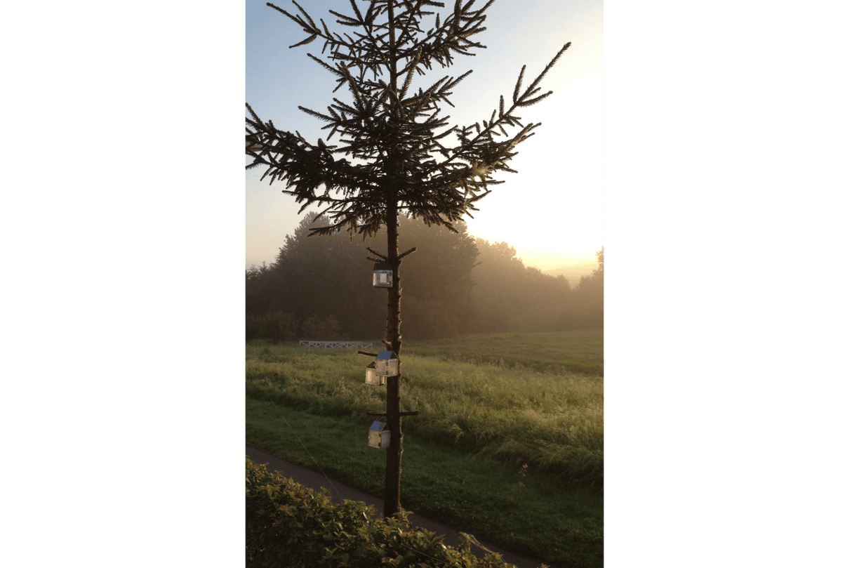 A2 Living Mini Lyktor