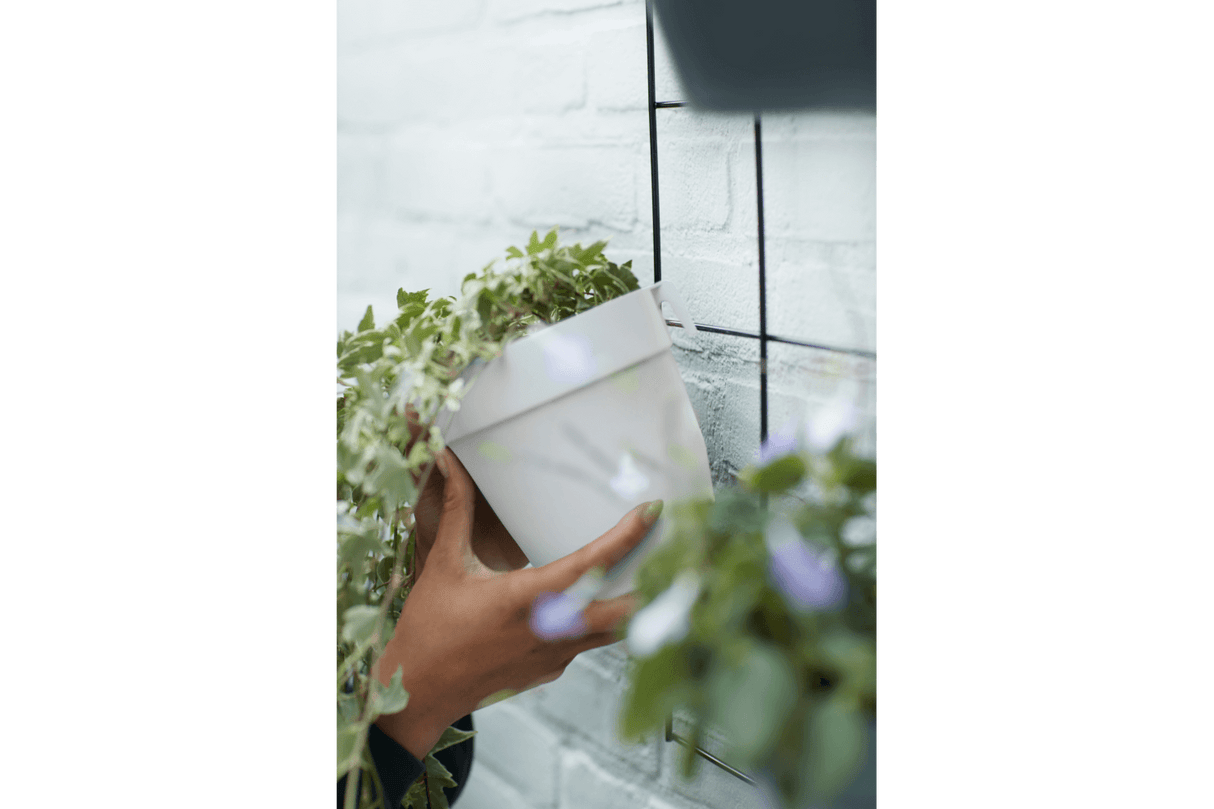 Planteringslåda till galler, Green wall