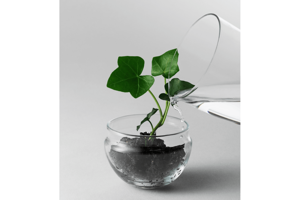 Grow Greenhouse - Design House Stockholm