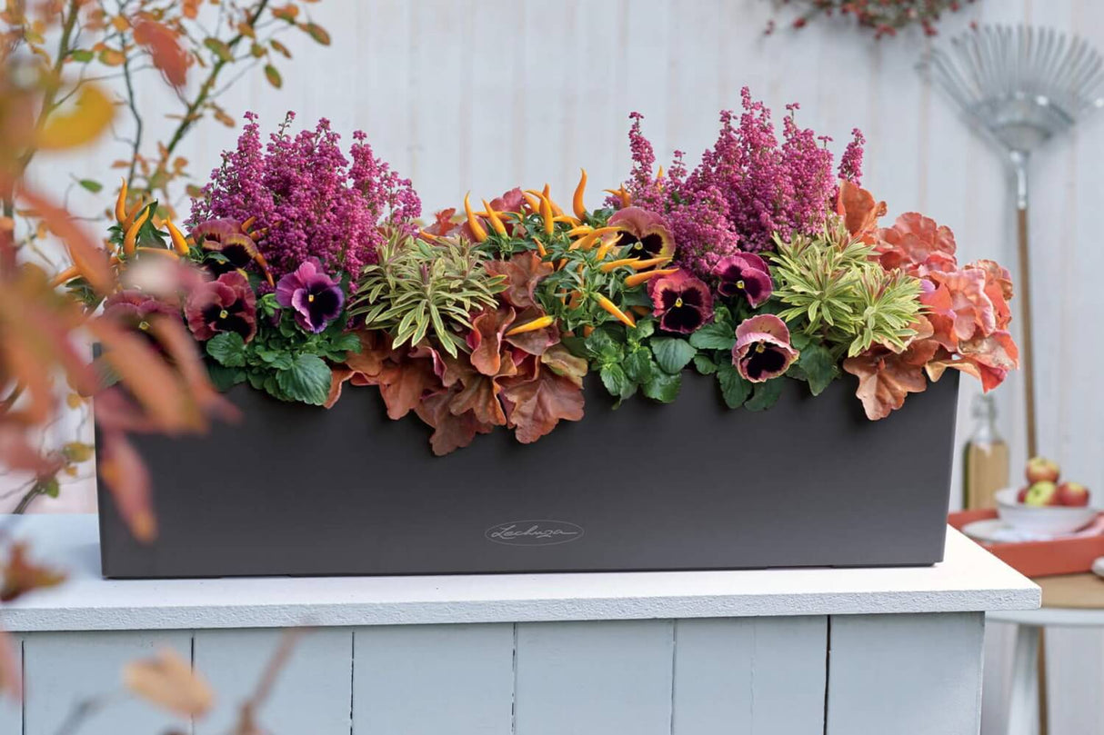 Balconera balkonglåda med självbevattning 80 cm