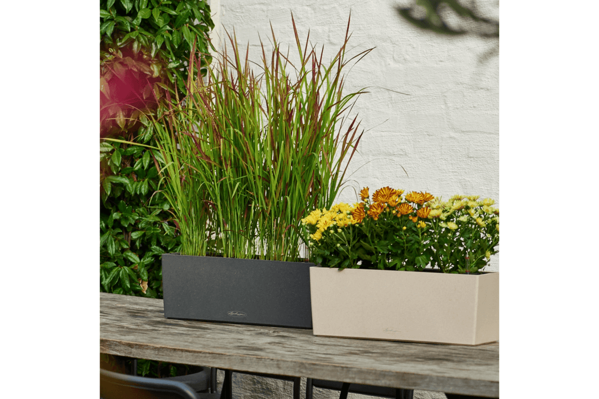 Stone balkonglåda med självbevattning 50 cm
