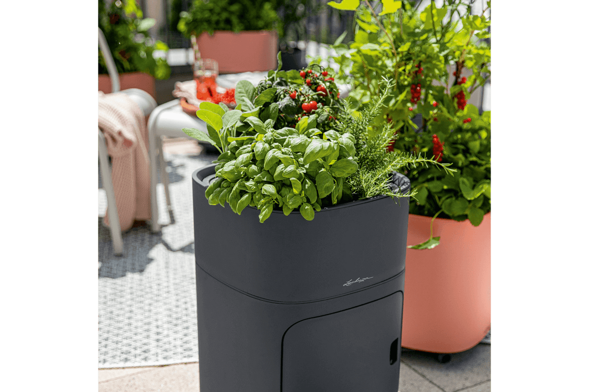 PILA Color Blomlåda för 4 krukor