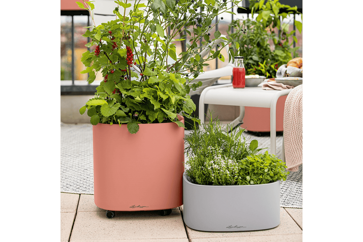 PILA Color Blomlåda för 4 krukor