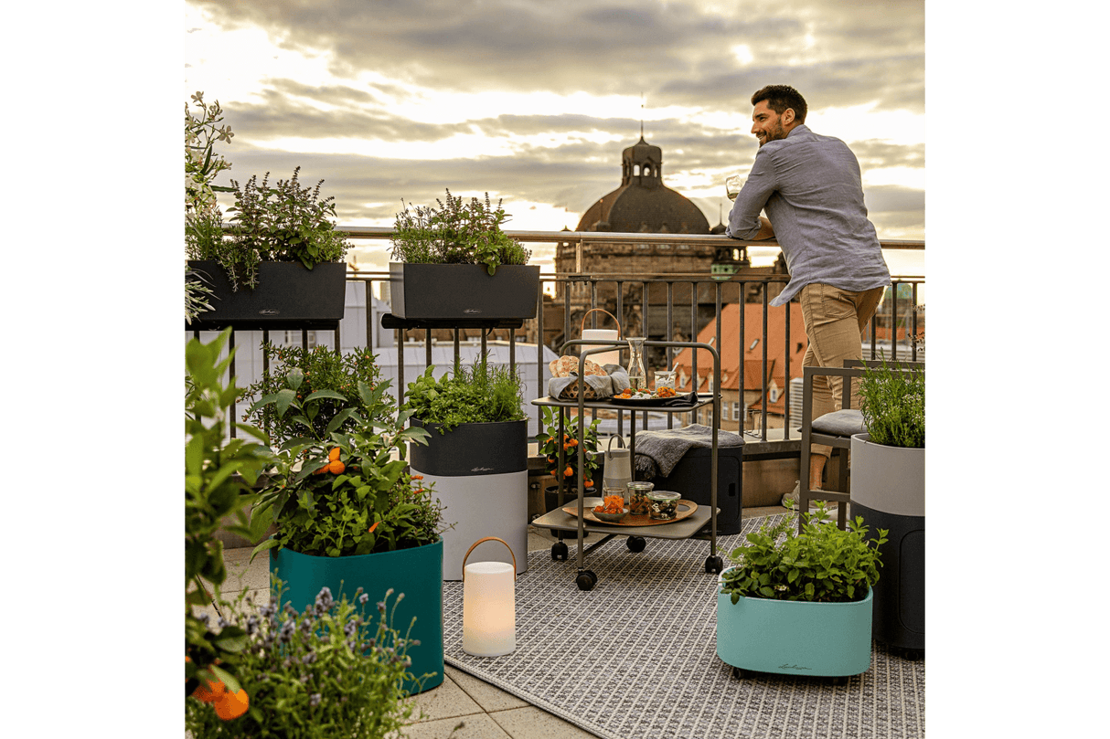 PILA color Blomlåda