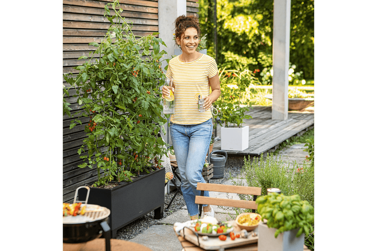 Espalier till Trio stone blomlåda