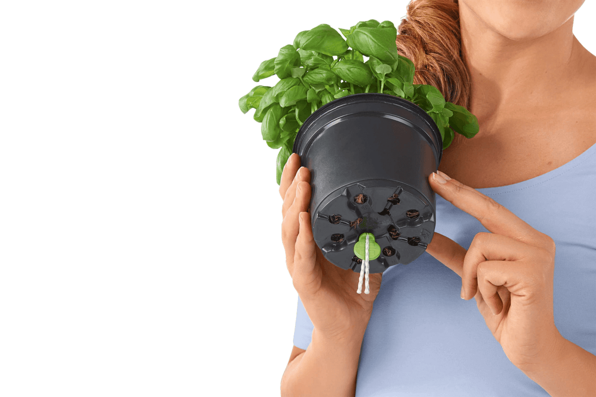 Lechuza pinnar för självbevattnande krukor