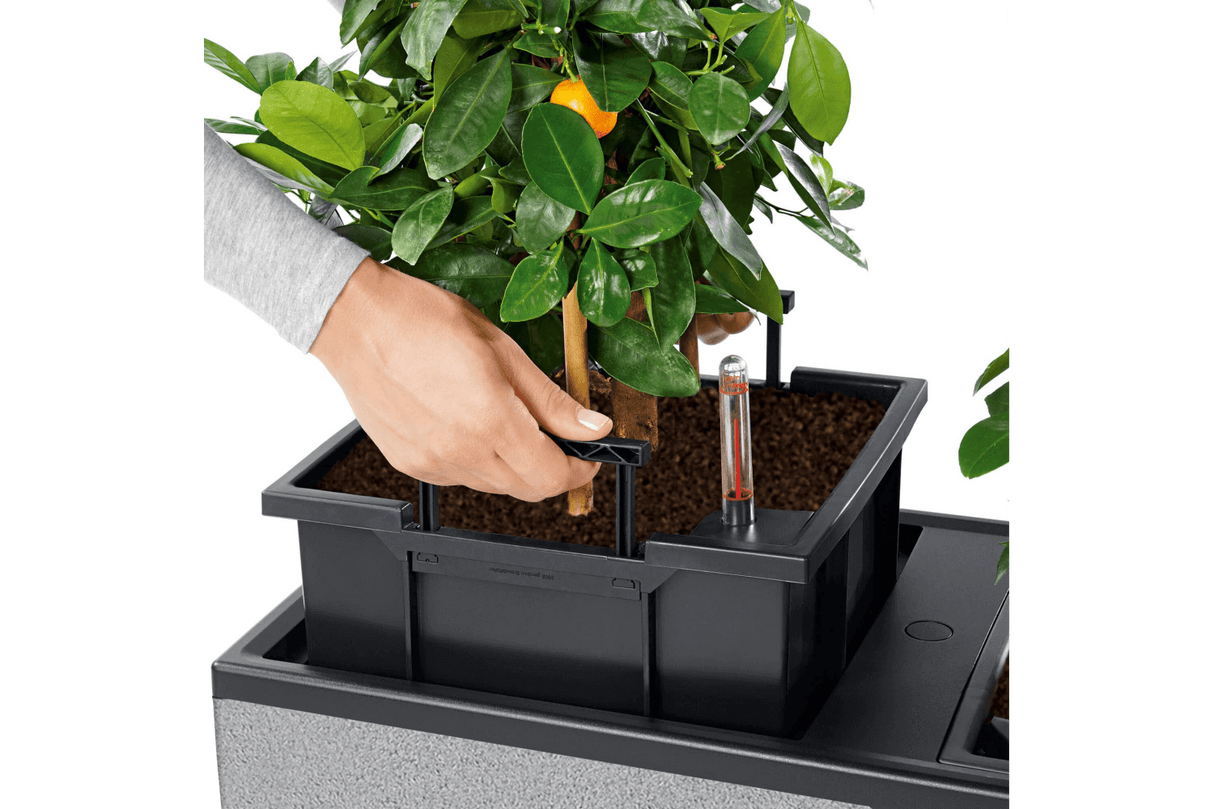 Trio stone blomlåda 100 cm