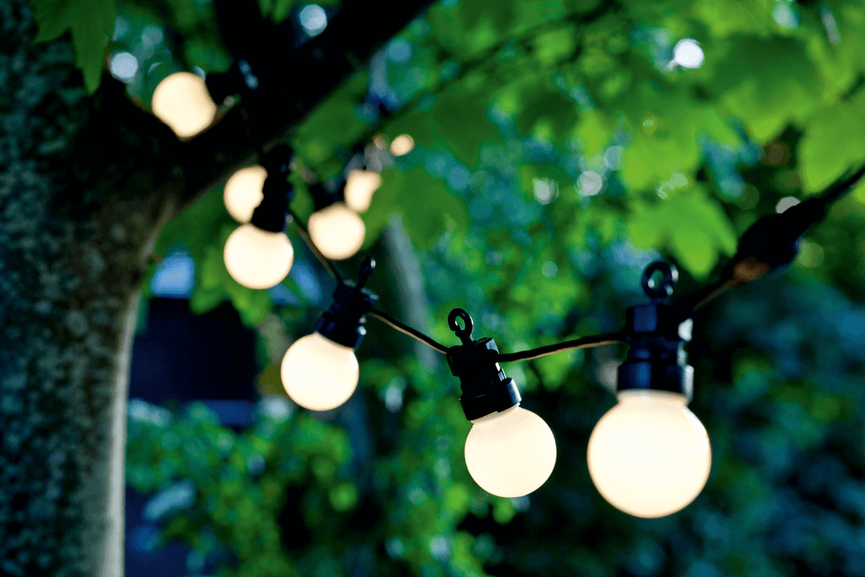 Lucas ljusslinga startpaket - 10 led lampor matt