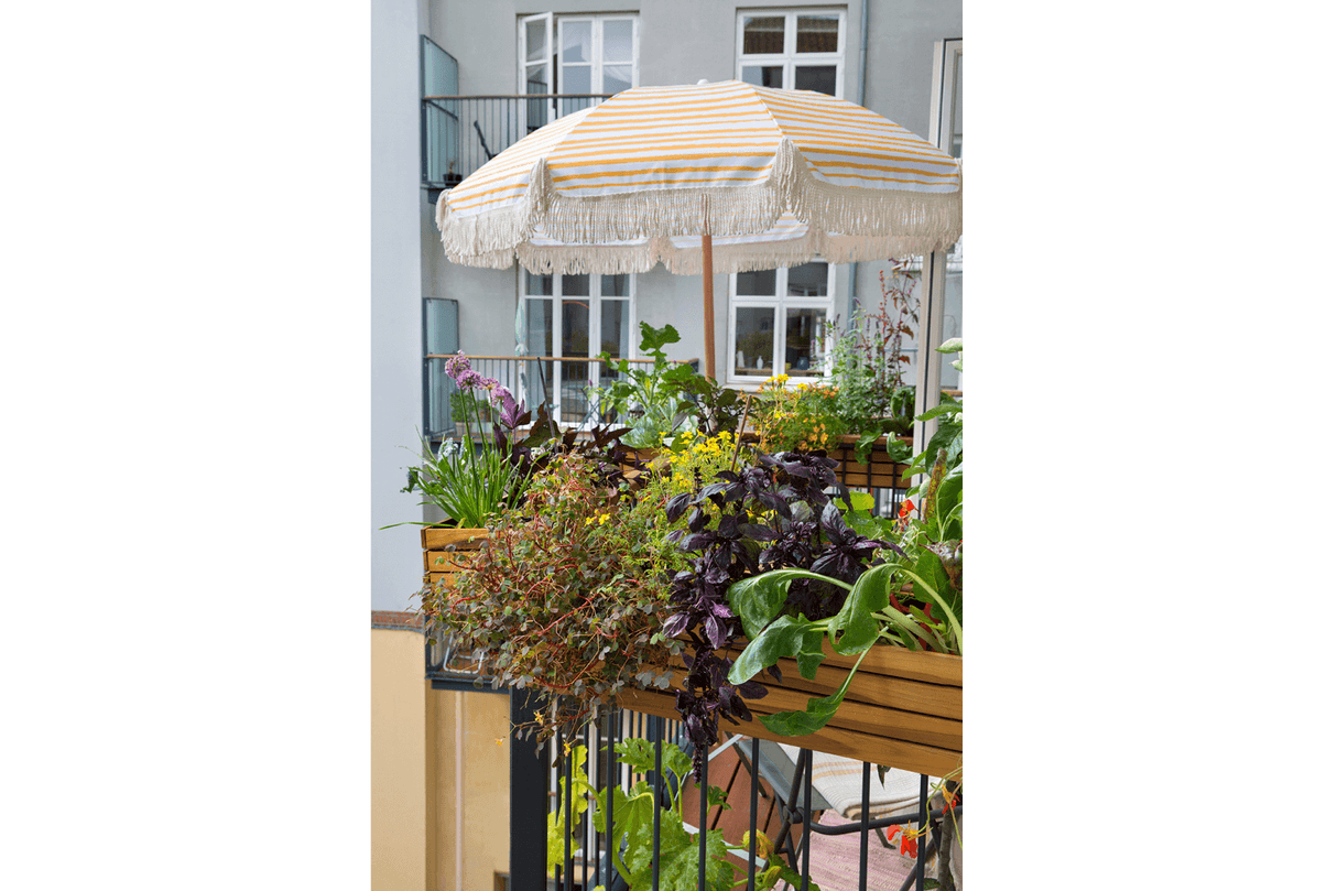 Maja balkonglåda teak 40 / 60 / 80 cm