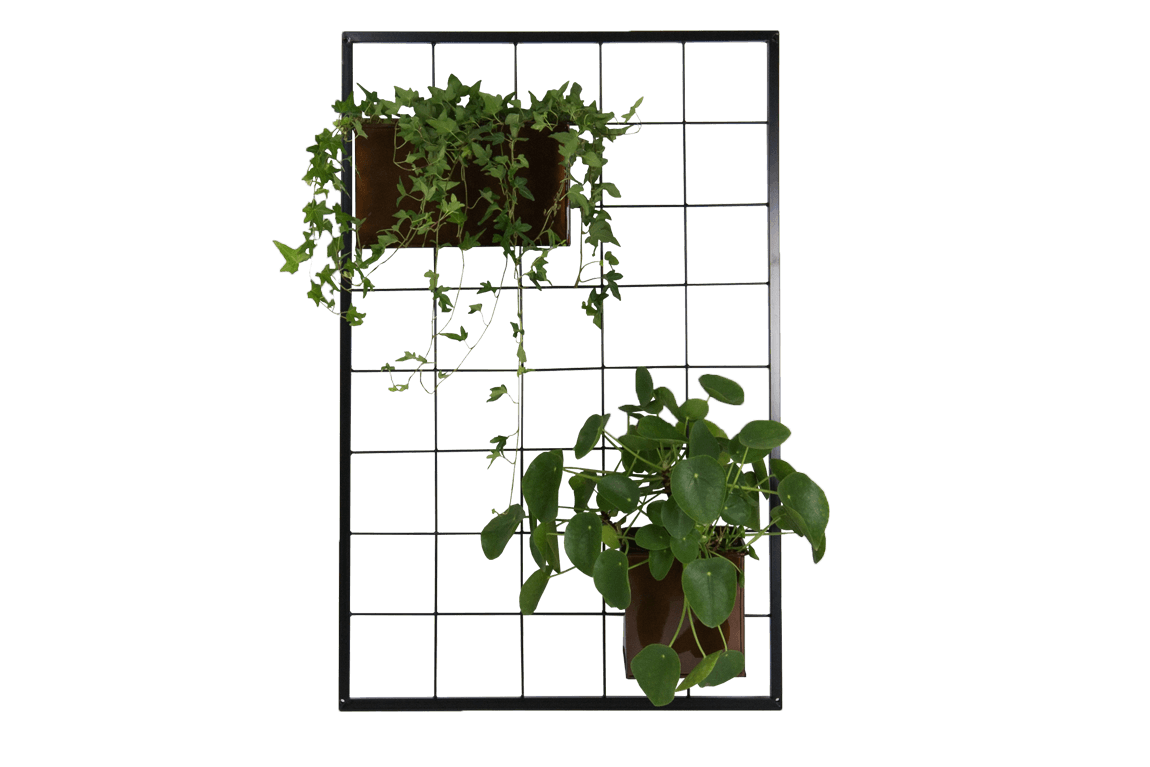 Sara galler for väggmontage - 95 x 62 cm