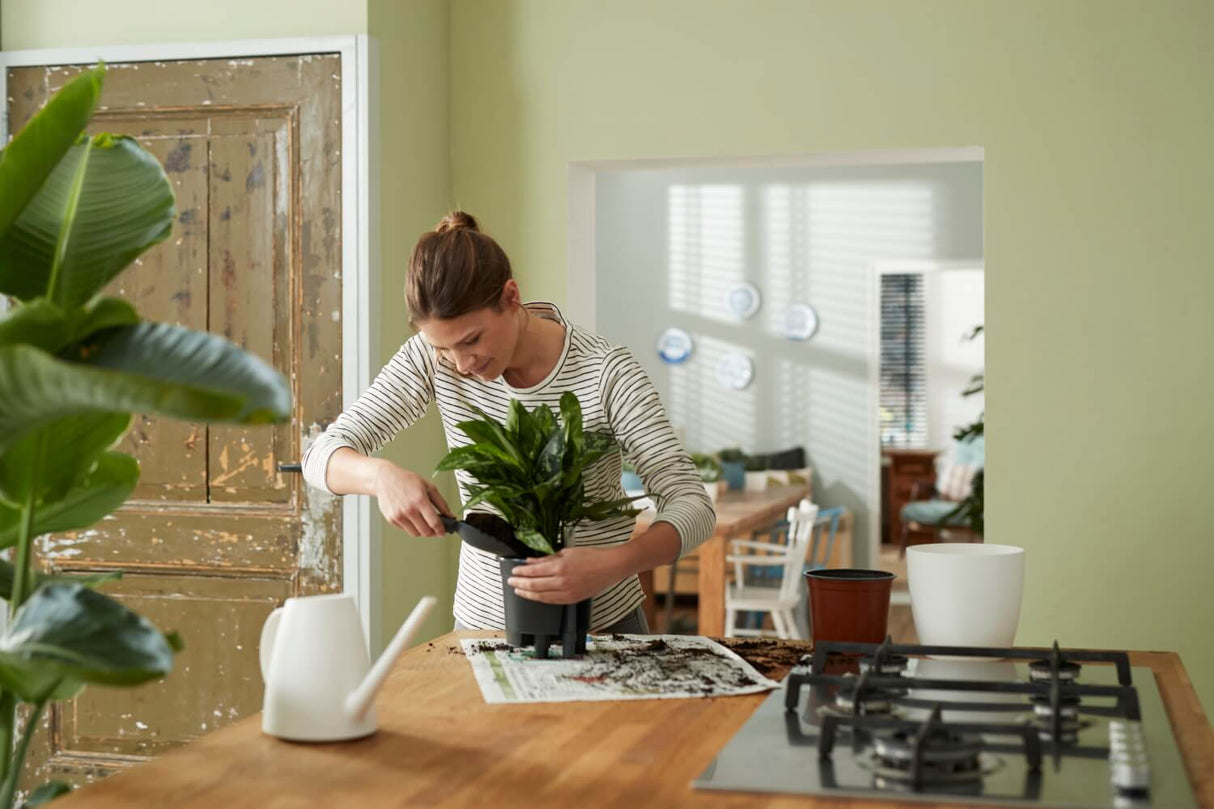 Självvattnande kruka, Ø24 cm