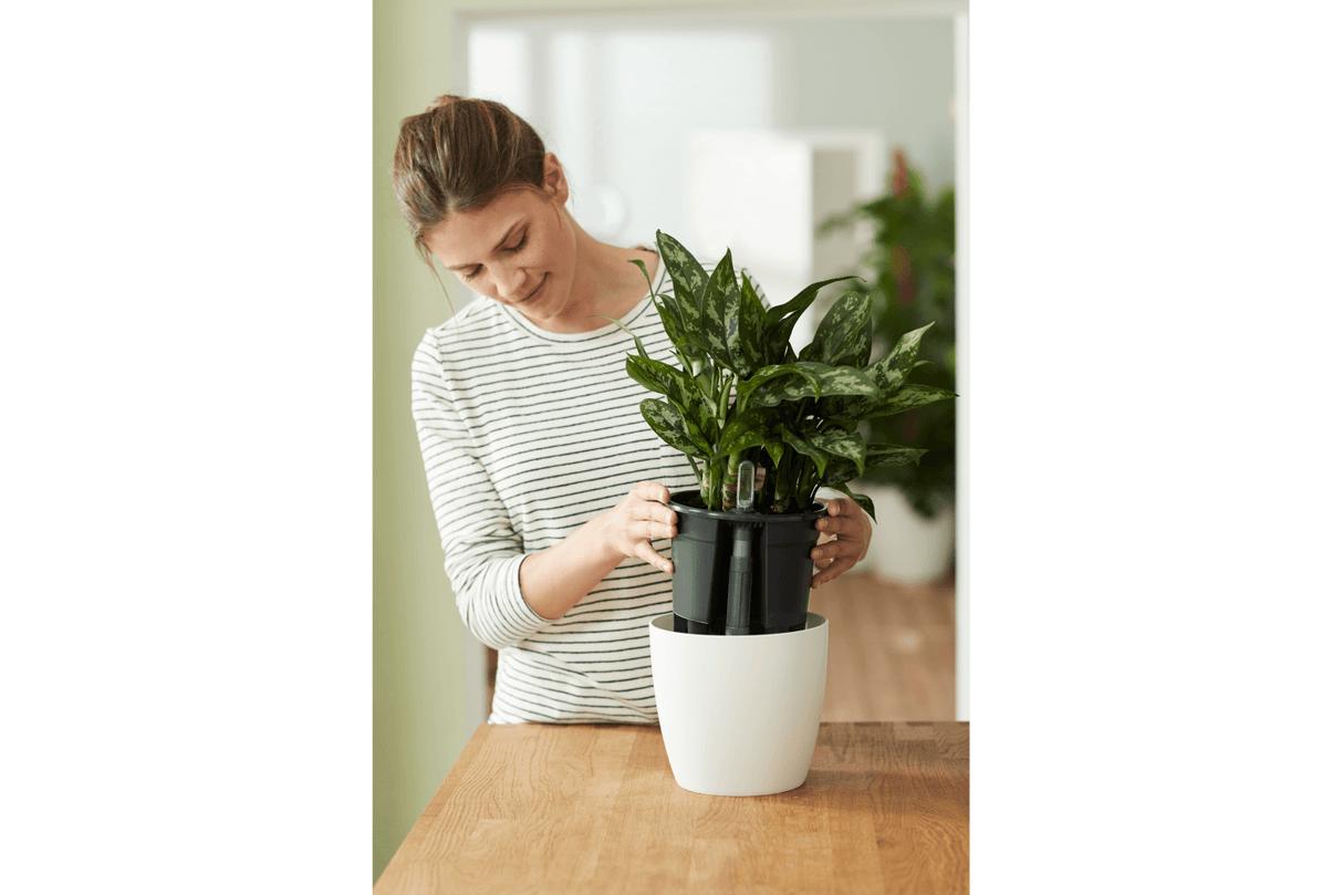 Självvattnande kruka, Ø24 cm