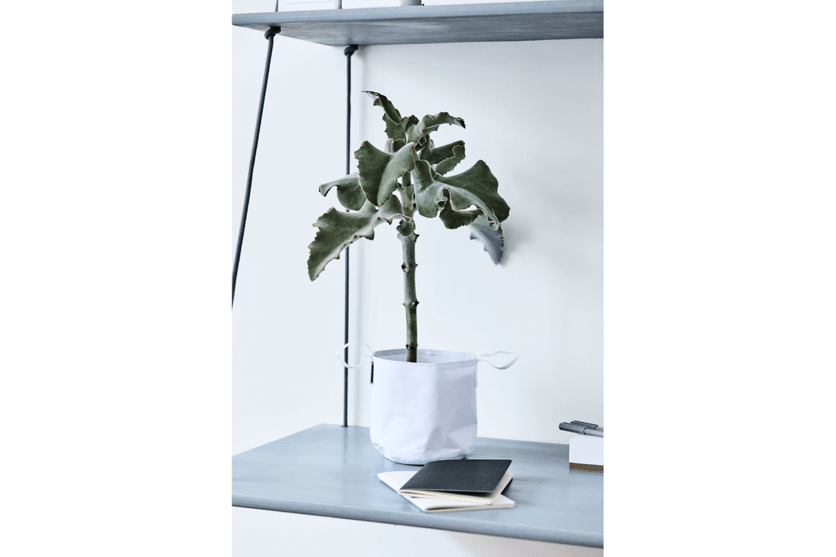 Vertikal blomsterampel till vägg och tak