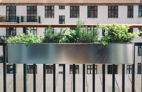 Planera och plantera på din balkong