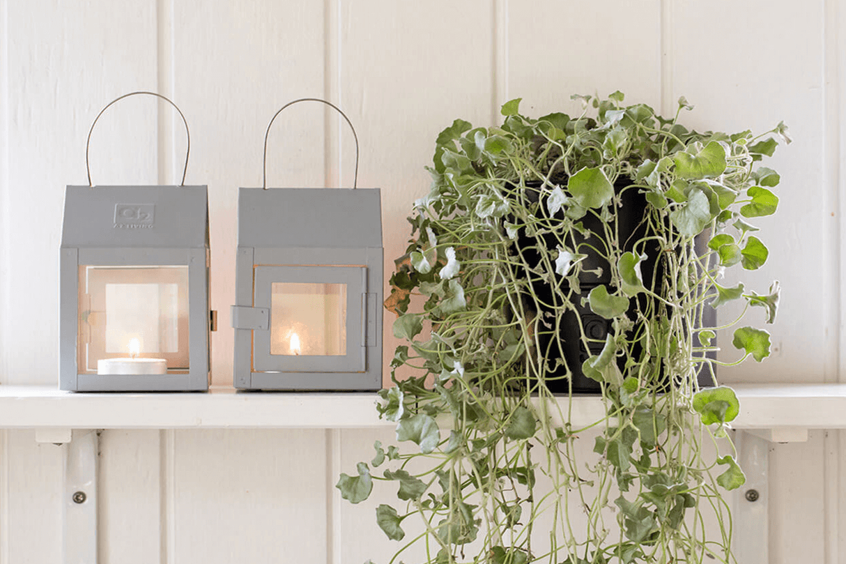 A2 Living Mini Lyktor