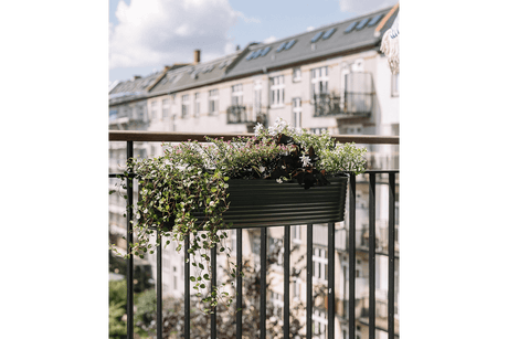 Olga balkonglåda mörkgrön 60 cm