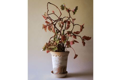 Folk Hinto keramisk växtstöd