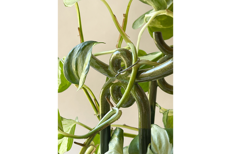 Folk Yuma keramisk växtstöd