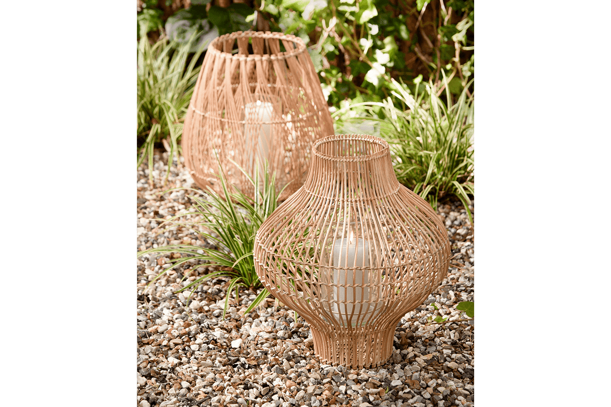 Sasha lykta i rotting