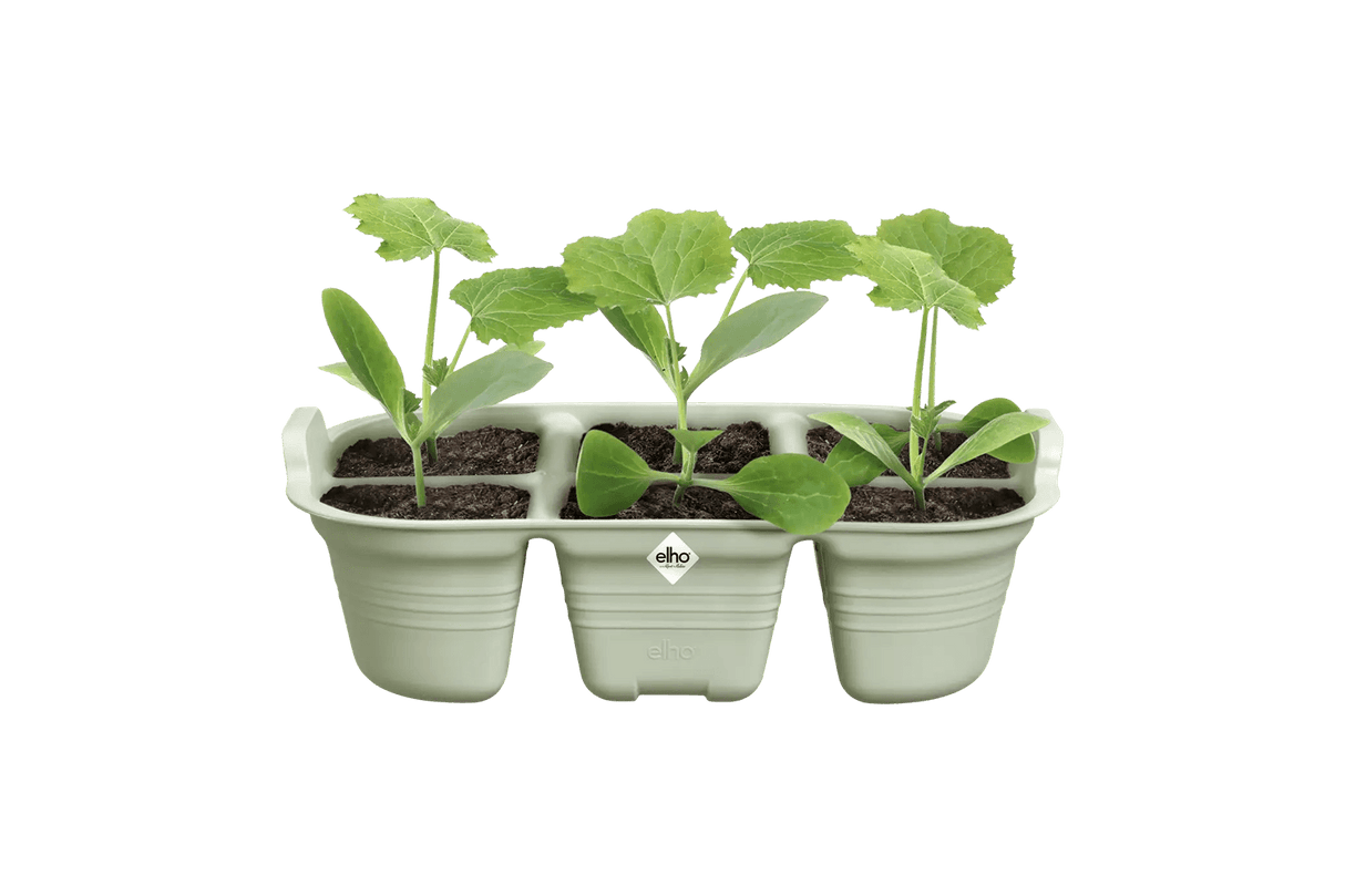 Green Basics fröbricka