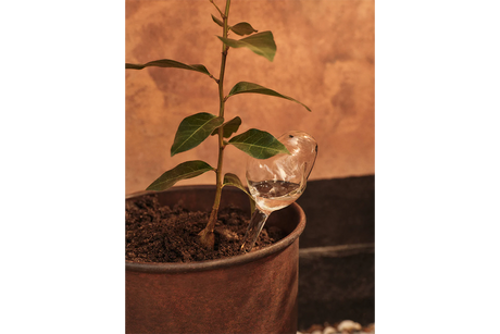 Mercury självbevattning för krukor