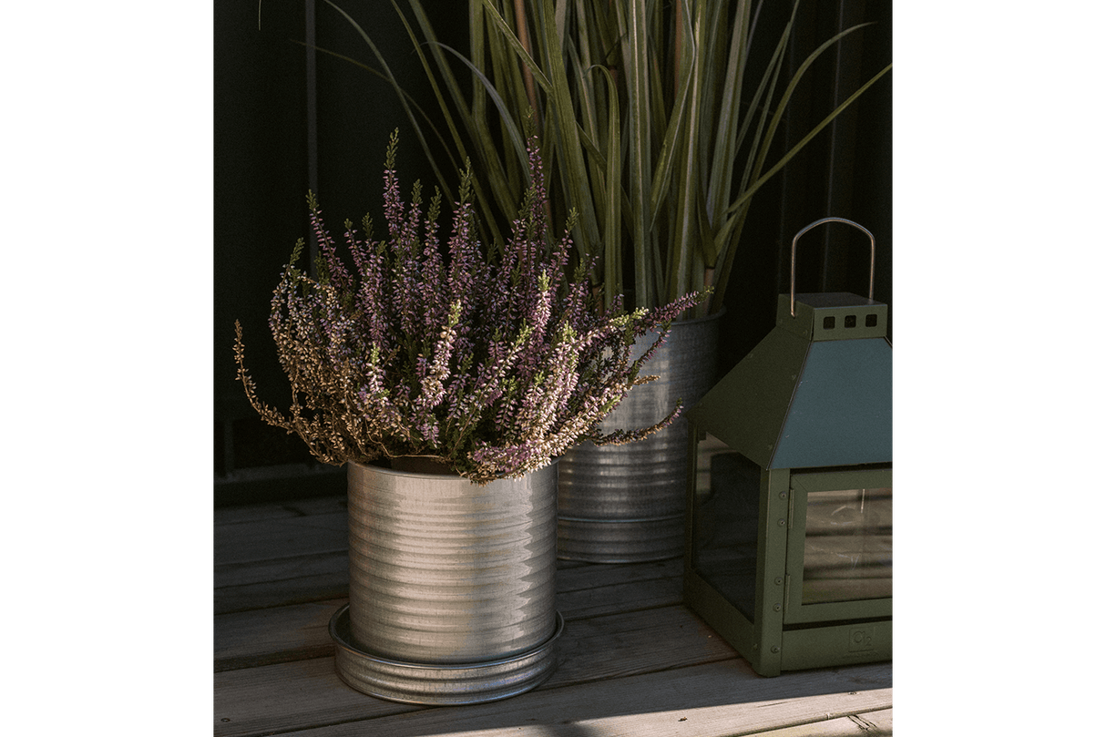 Rita Rillo kruka Ø17 cm