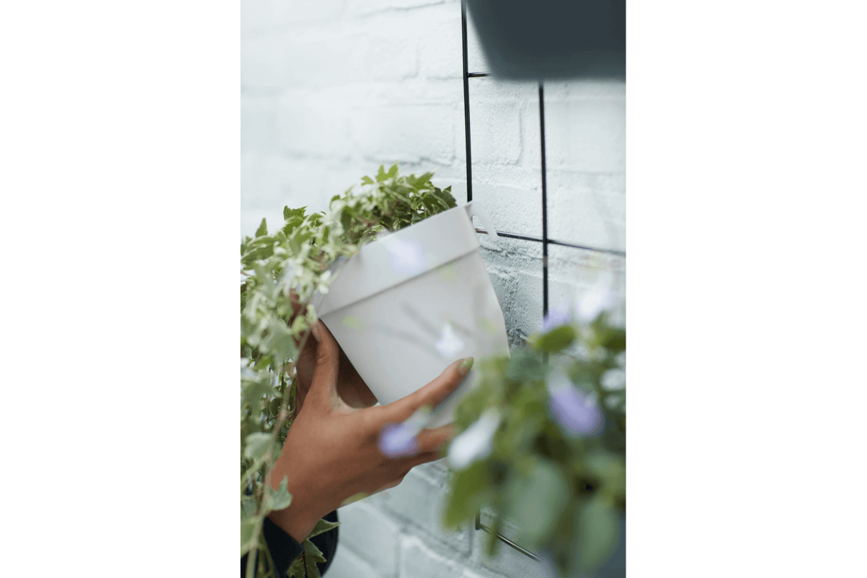 Kruka till galler, Green wall