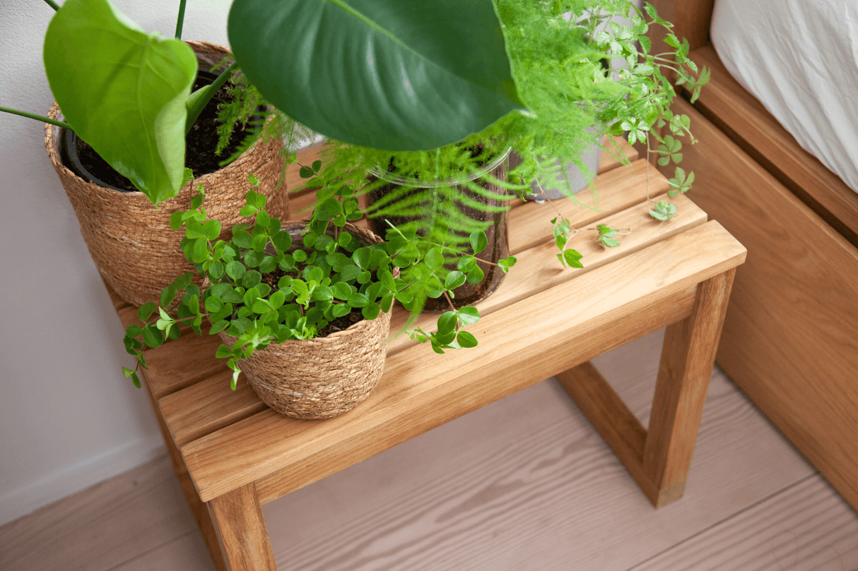 Vega pall 55 x 40 cm