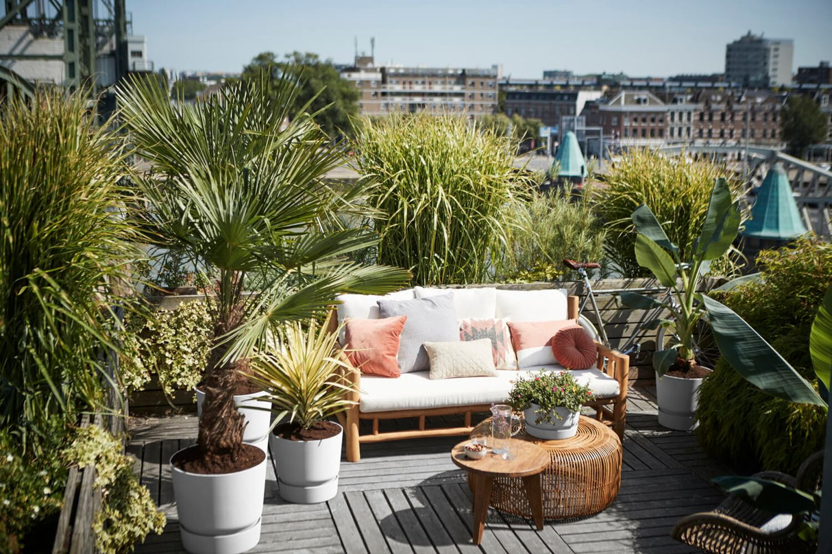 Greenville, Kruka Ø40