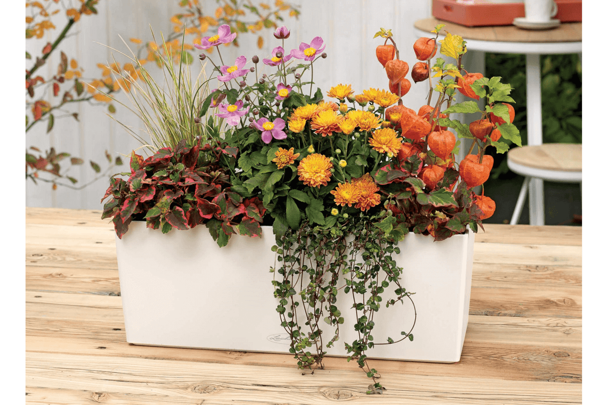 Balconera balkonglåda med självbevattning 50 cm