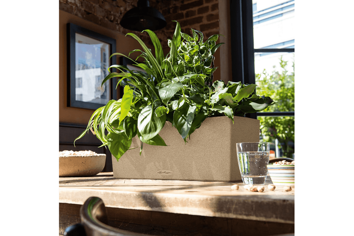 Stone balkonglåda med självbevattning 50 cm