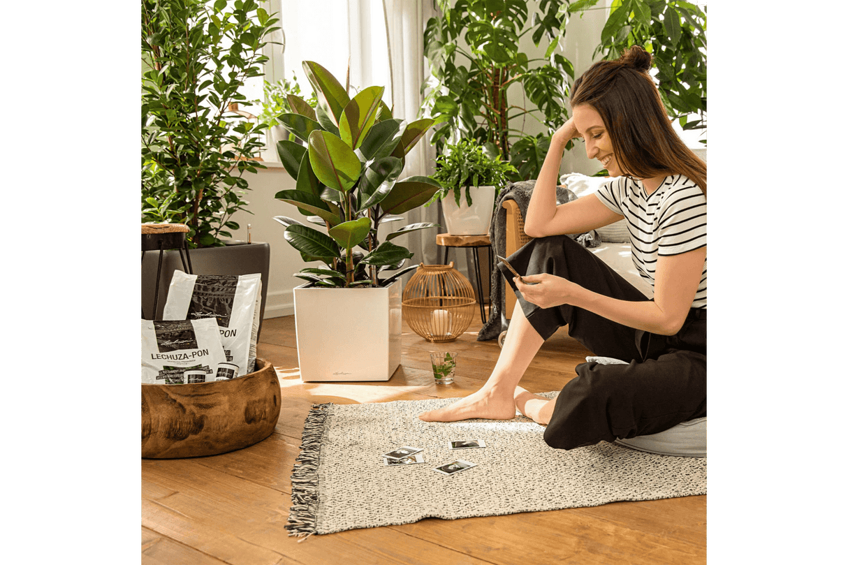 Pon Mineral Växtsubstrat