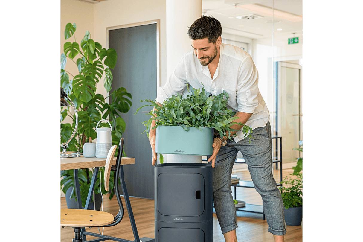 PILA Color Blomlåda för 4 krukor