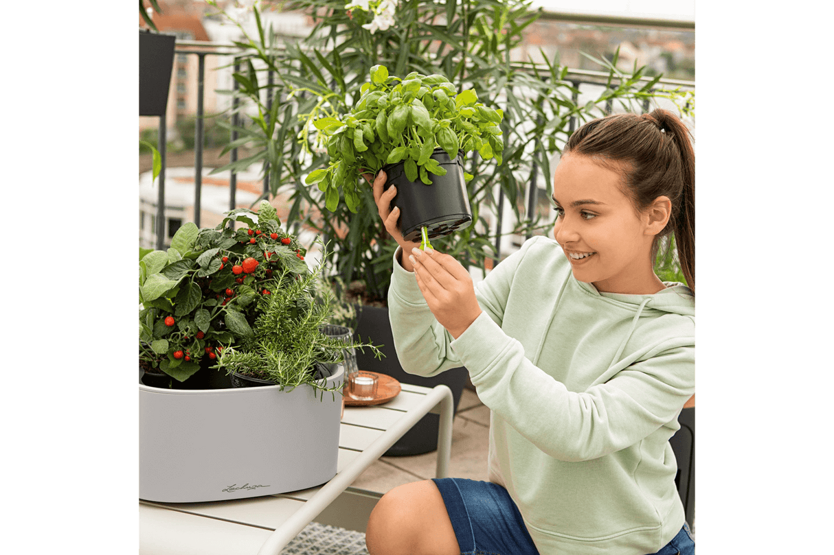 PILA Color Blomlåda för 4 krukor