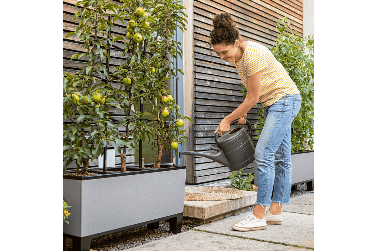 Espalier till Trio stone blomlåda