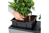 Trio stone blomlåda 100 cm