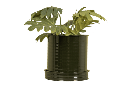 Rita Rillo kruka Ø17 cm