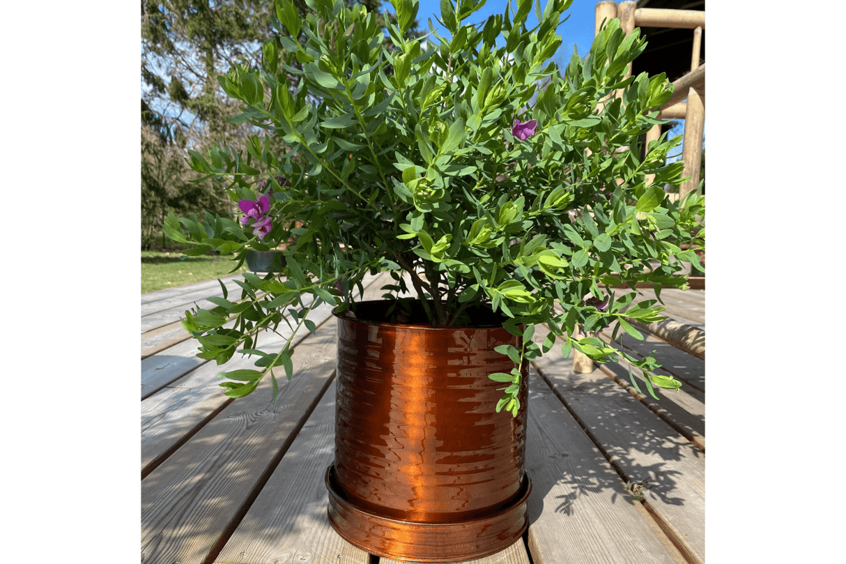 Rita Rillo kruka Ø17 cm