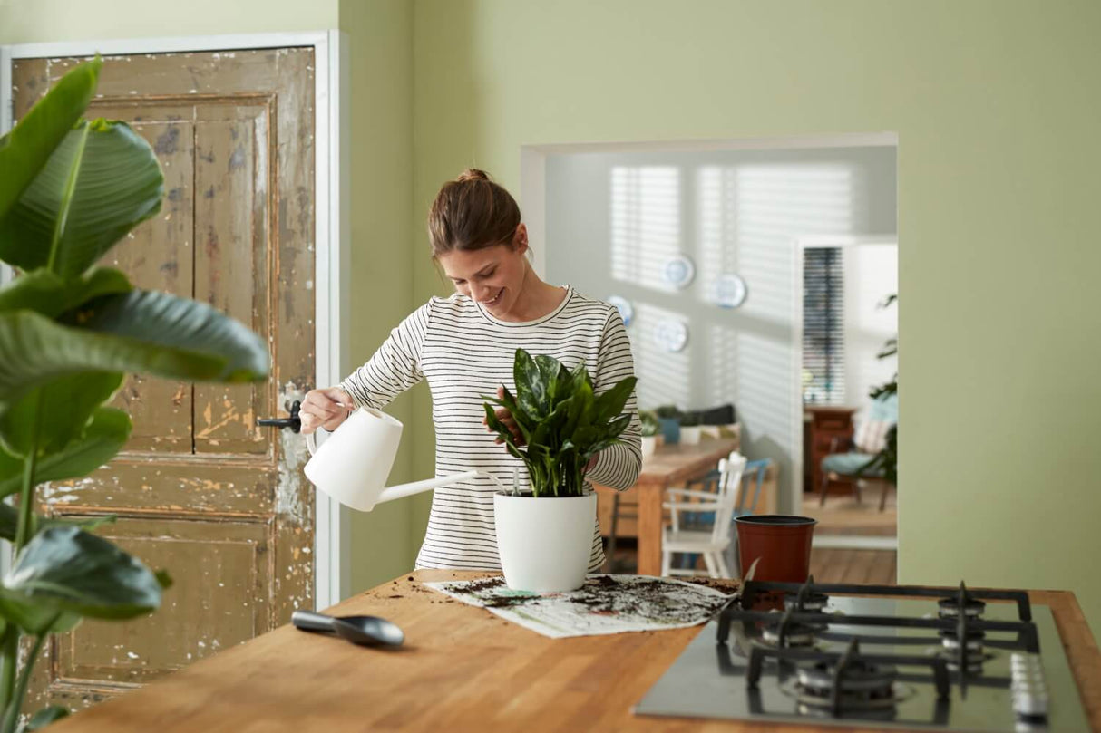 Självvattnande kruka, Ø24 cm