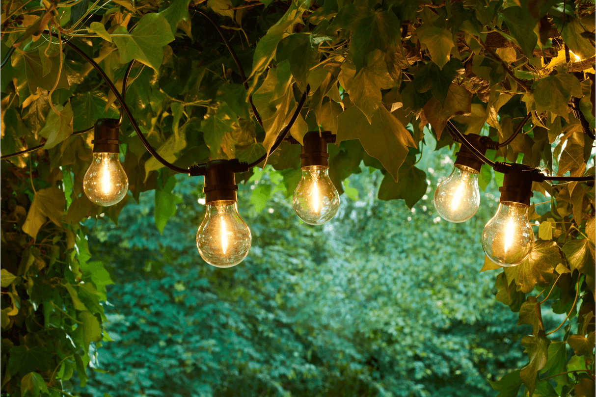 Tobias ljusslinga startpaket 10 led lampor klar