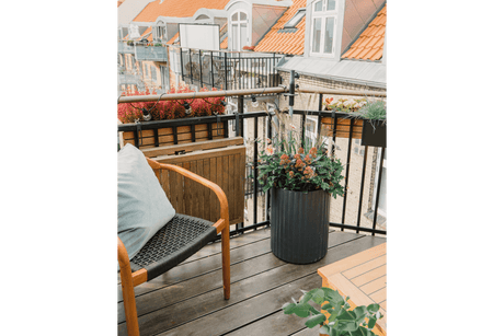 Självbevattnande Klimatkruka