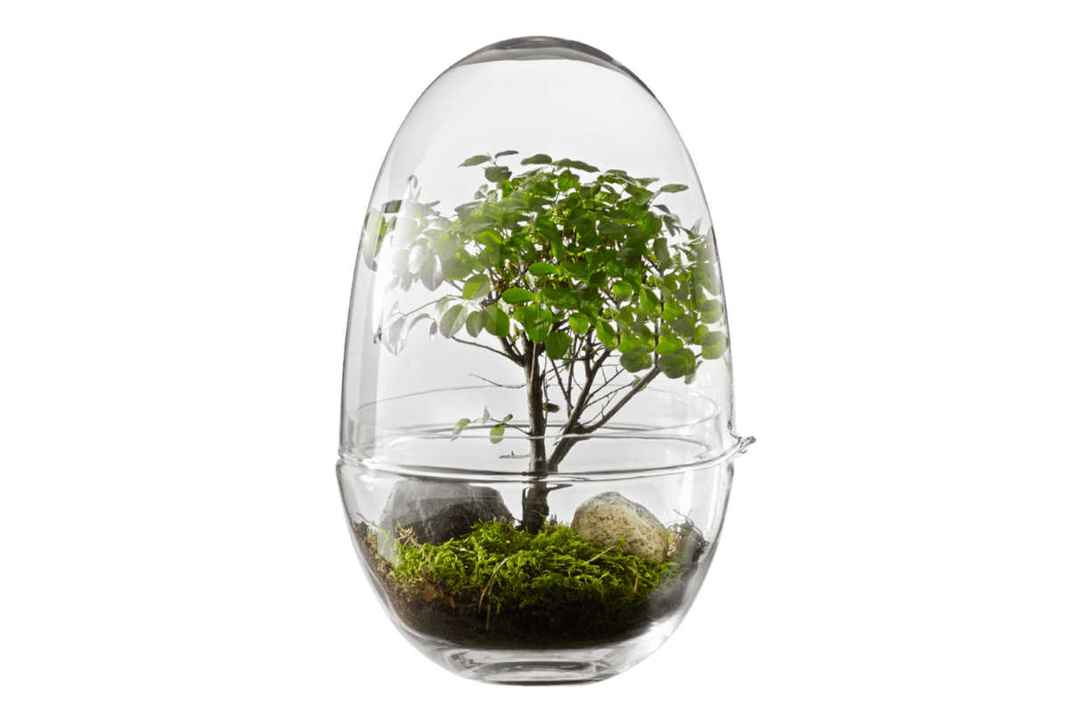 Grow Greenhouse - Design House Stockholm