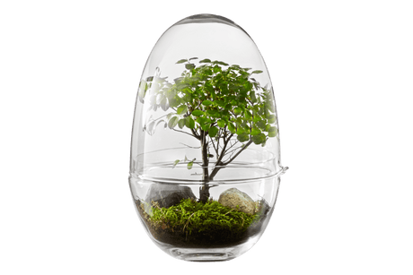 Grow Greenhouse - Design House Stockholm